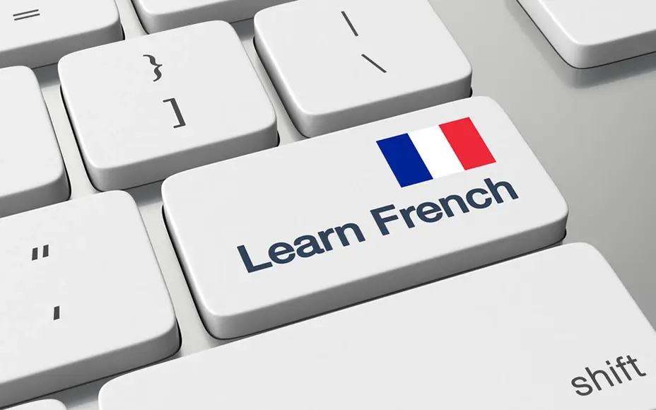 کدام دانشگاهها رشته زبان فرانسه دارند